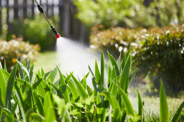24/7 Emergency Ant Control experts in Monongah, WV