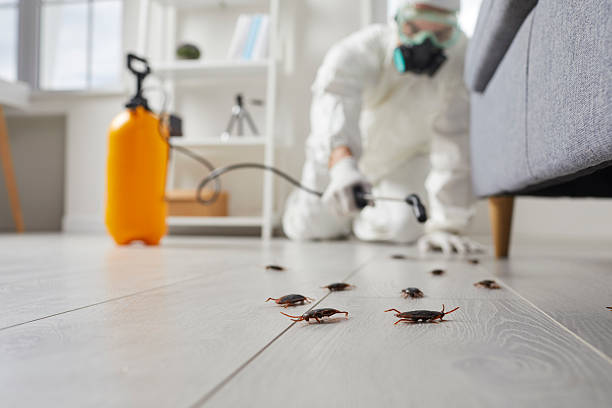 Trusted Mosquito Control service in Monongah, WV - Nex Pest Control