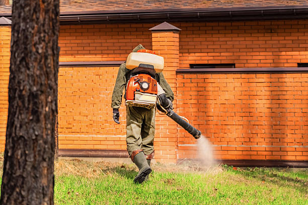 Trusted Ant Control service in Monongah, WV - Nex Pest Control